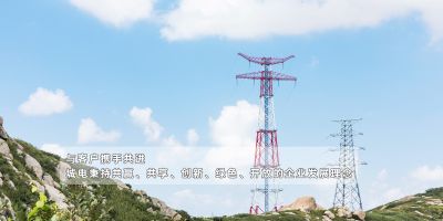 山東城電電力工程有限公司