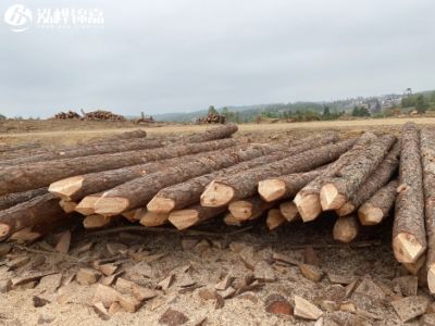 泓樺錦嘉生態(tài)環(huán)境工程有限公司