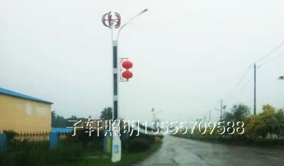 沈陽子軒道路照明工程有限公司