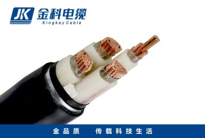 廣東金科電纜實業有限公司