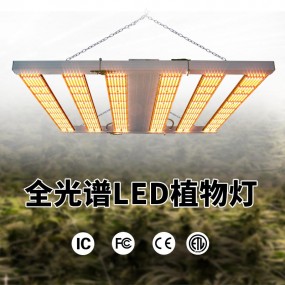 廣東偉照業光電節能有限公司